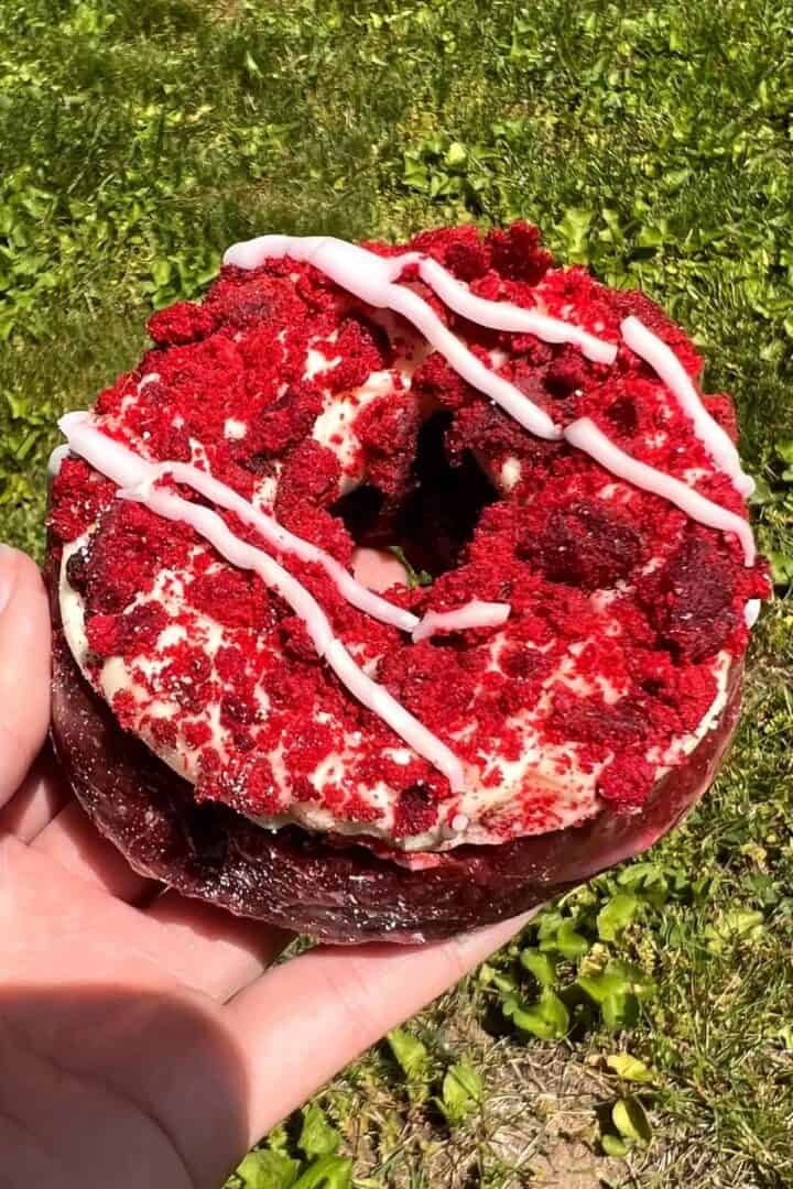 Best Donuts in Connecticut Daily Life Travels