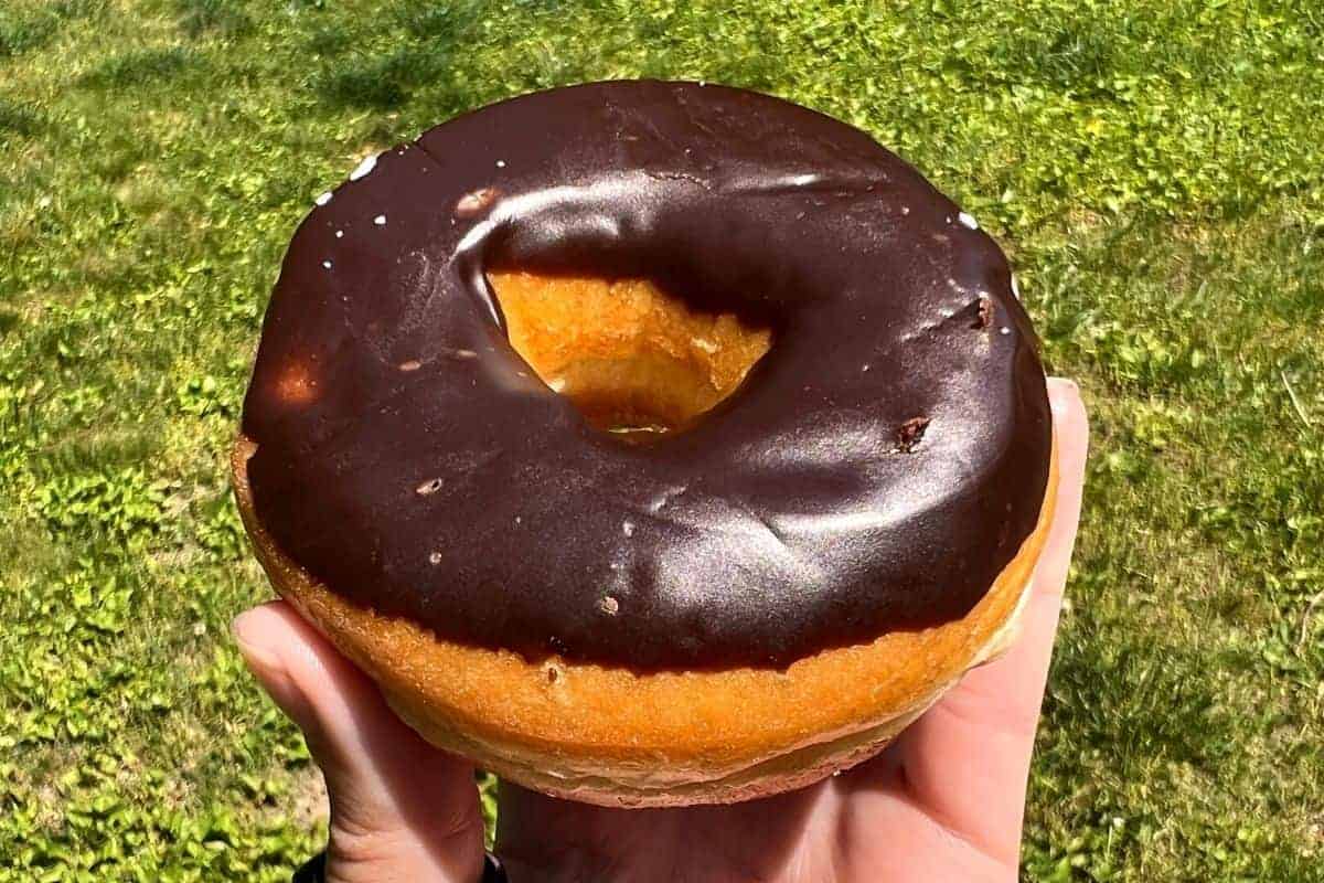 chocolate frosted doughnut.