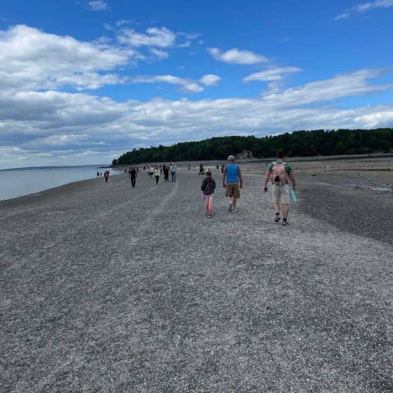 Bar Island Land Bridge Daily Life Travels