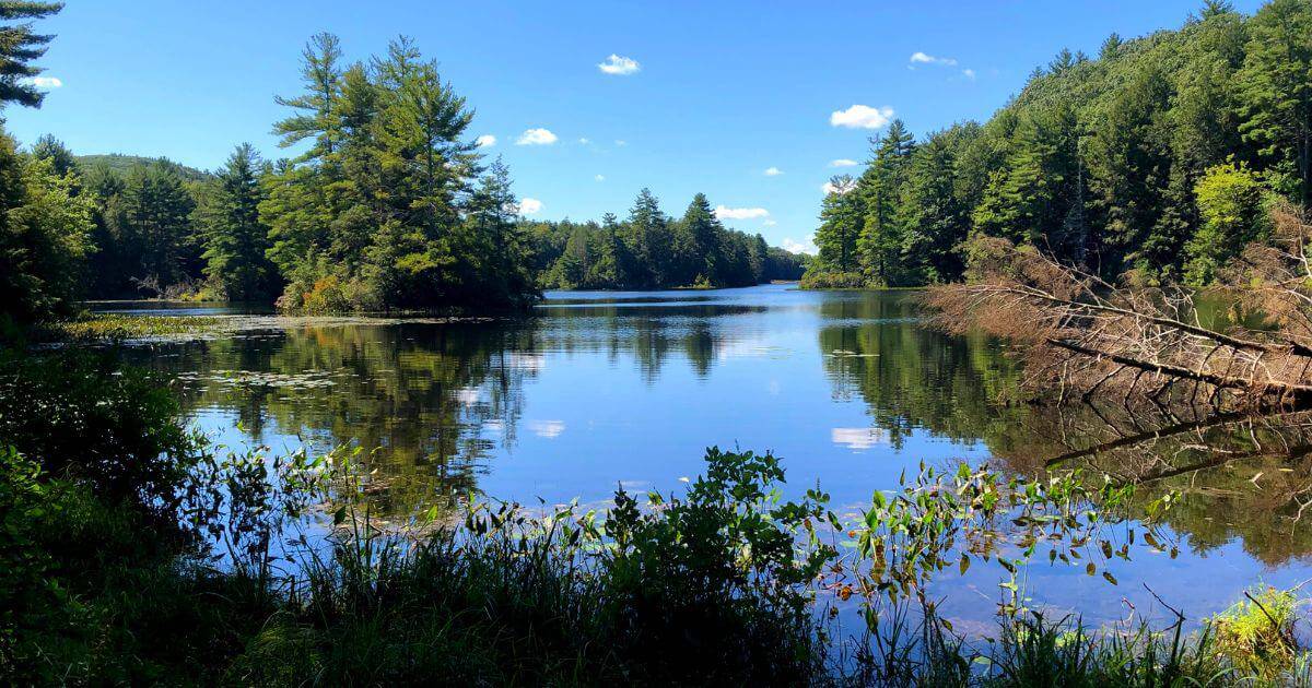 Bigelow Hollow State Park Ct