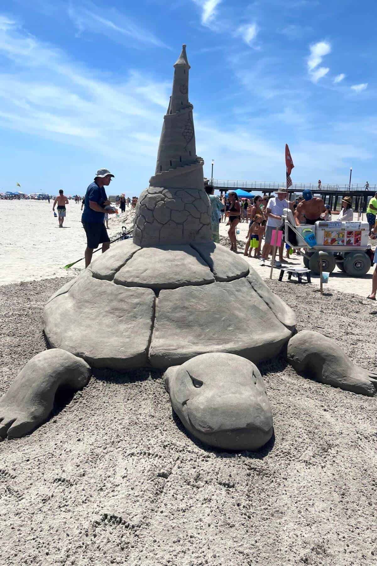 giant turtle sand castle.