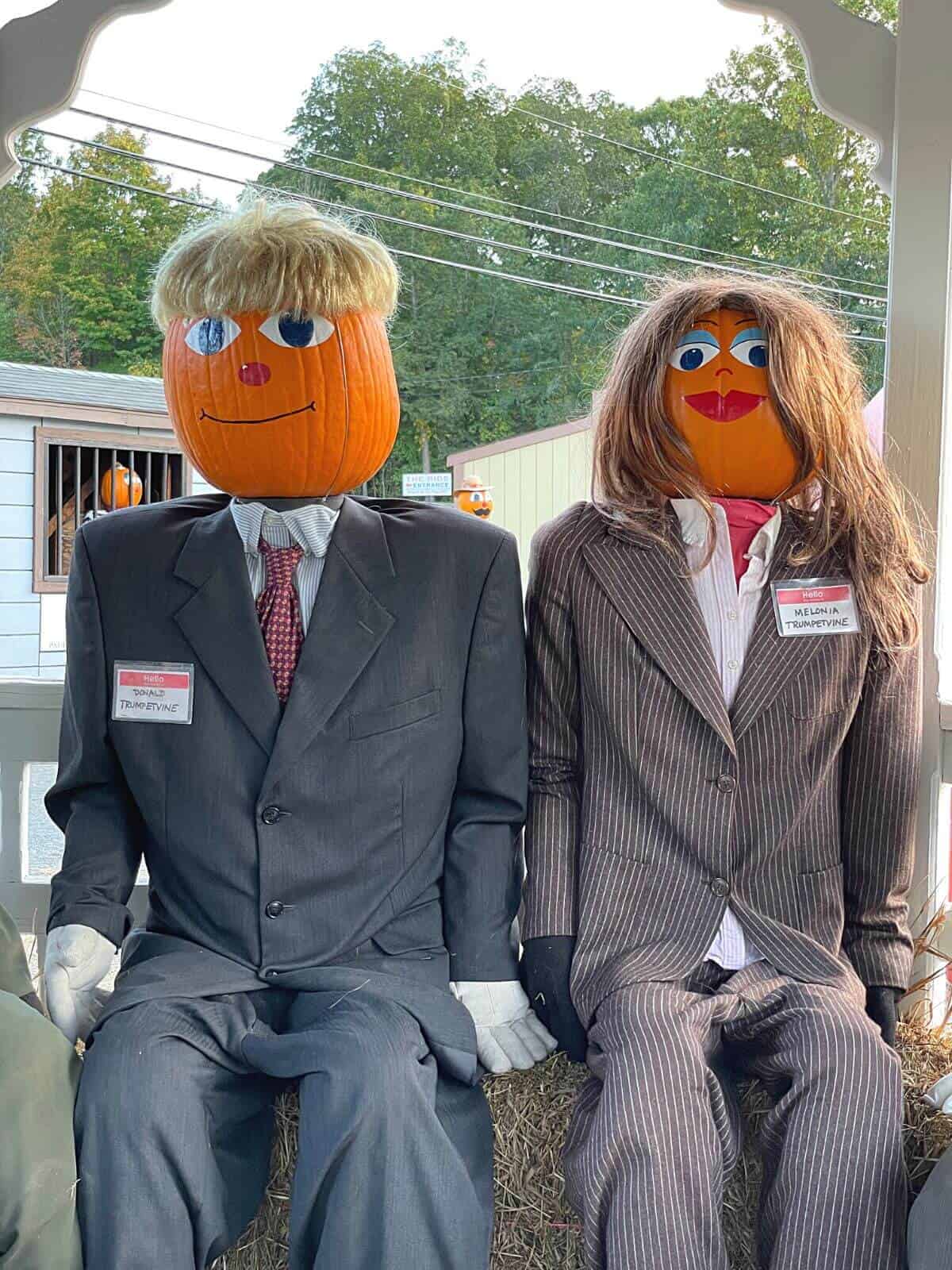 celebrity pumpkinheads.