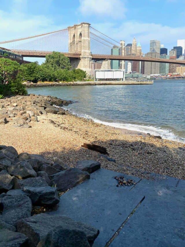 views of brooklyn bridge.