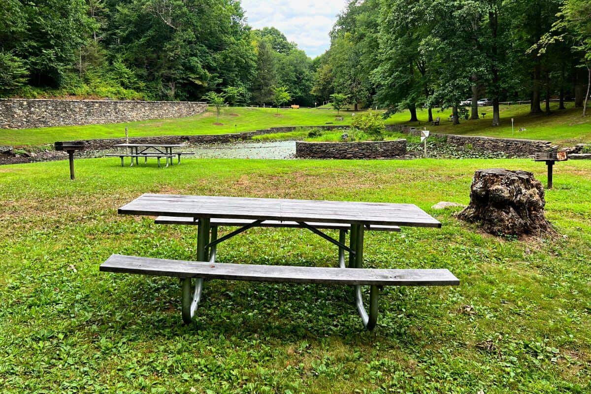 picnic table with pond in background.