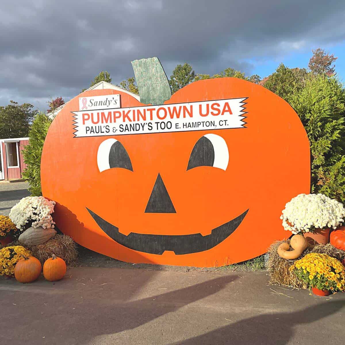 pumpkintown usa ct pumpkin sign featured image.