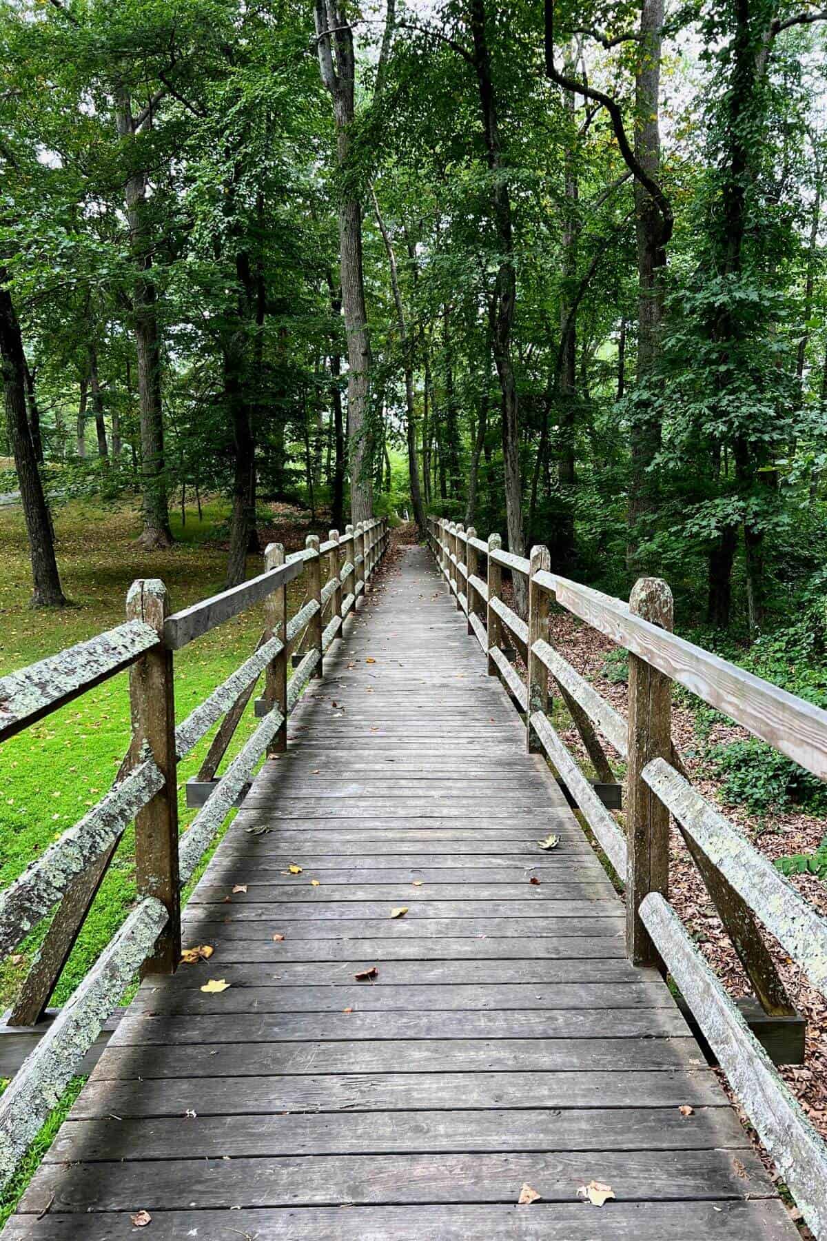 bridge on walking path.