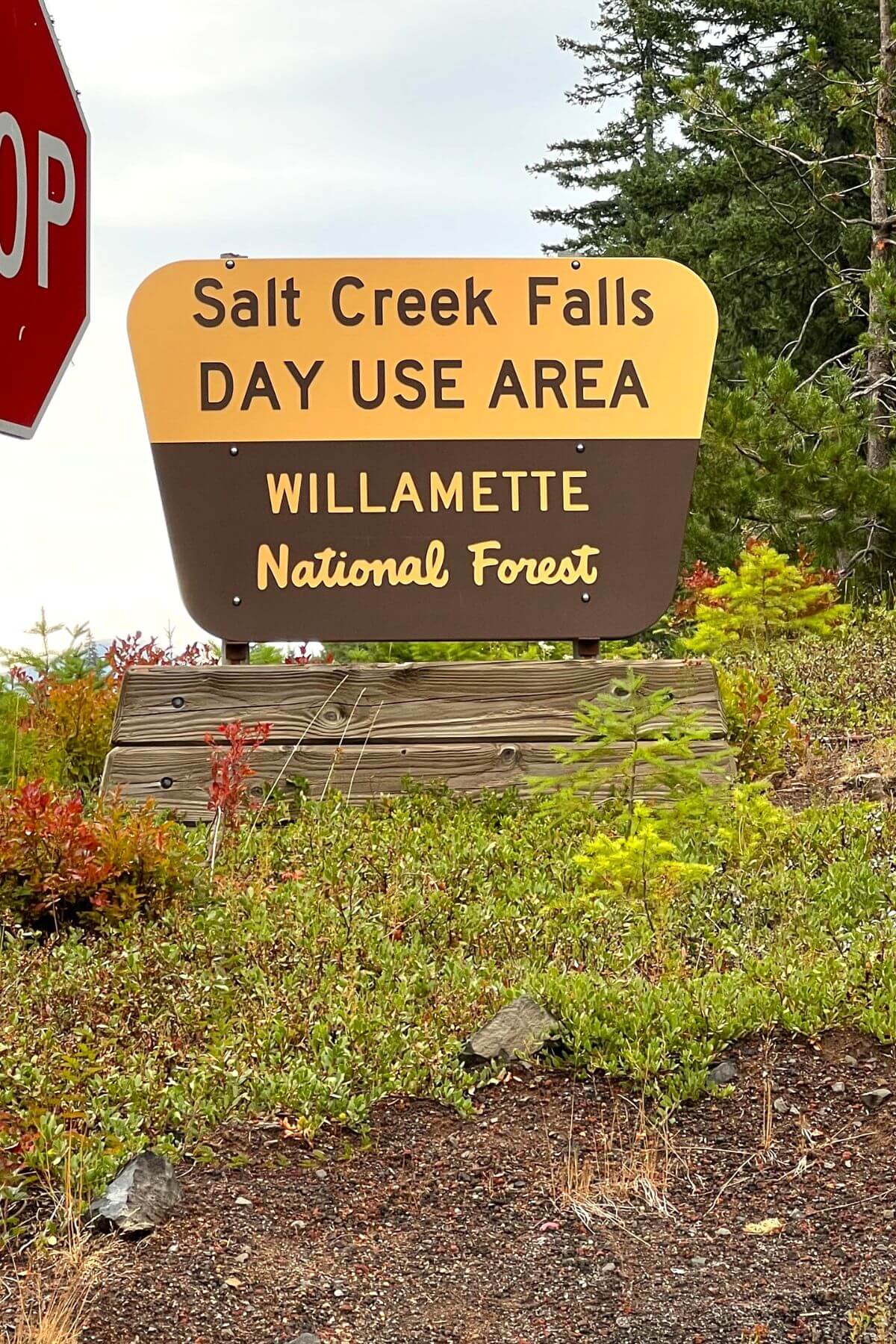 salt creek falls sign.