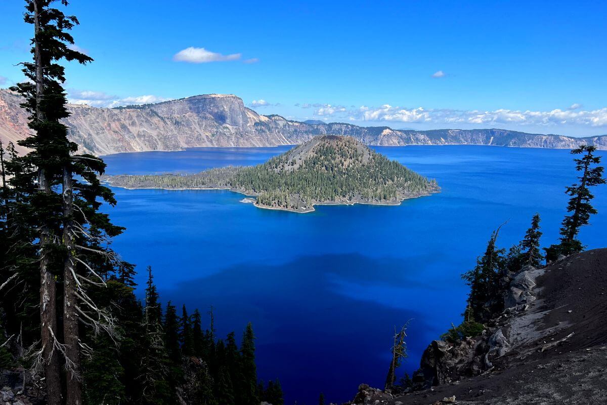 view of island in crater lake from cleetwood cove trail.