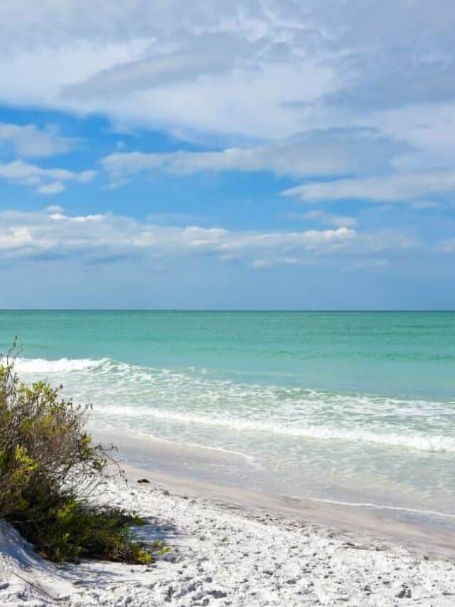 Relax and Unwind at Sand Key Park in Clearwater, FL