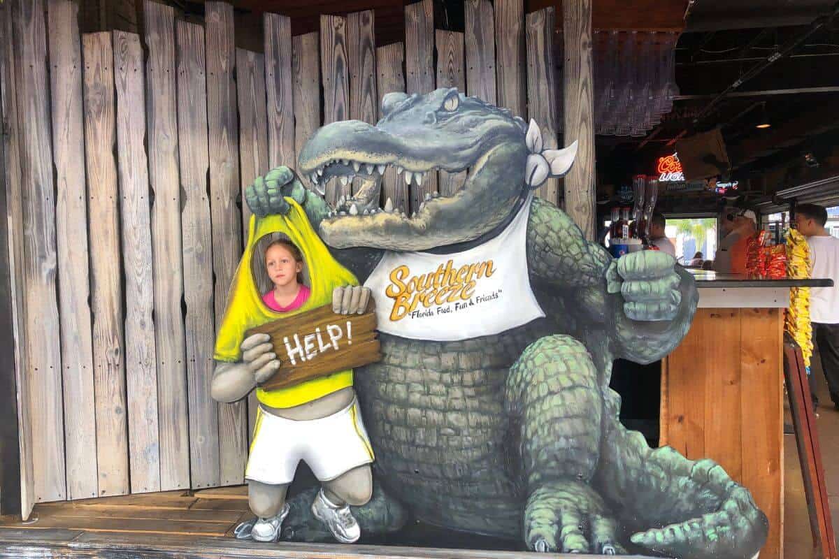 Florida gator photo.