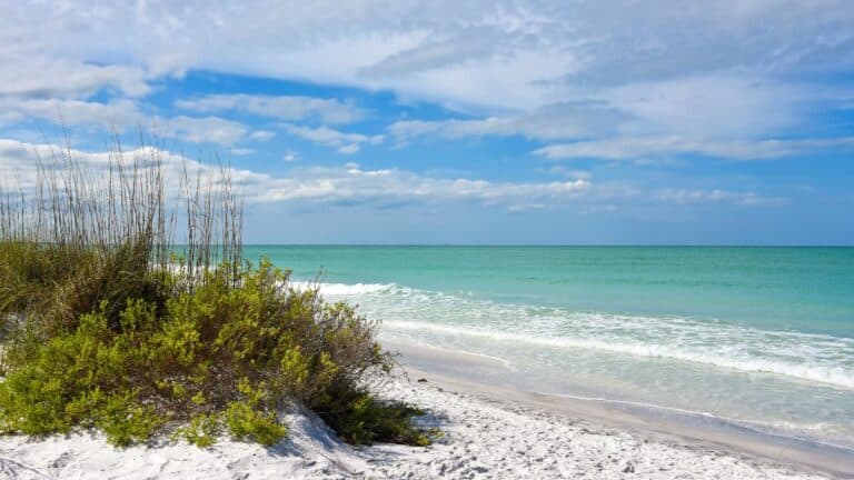 Sand Key Park: A Quiet Getaway in Clearwater