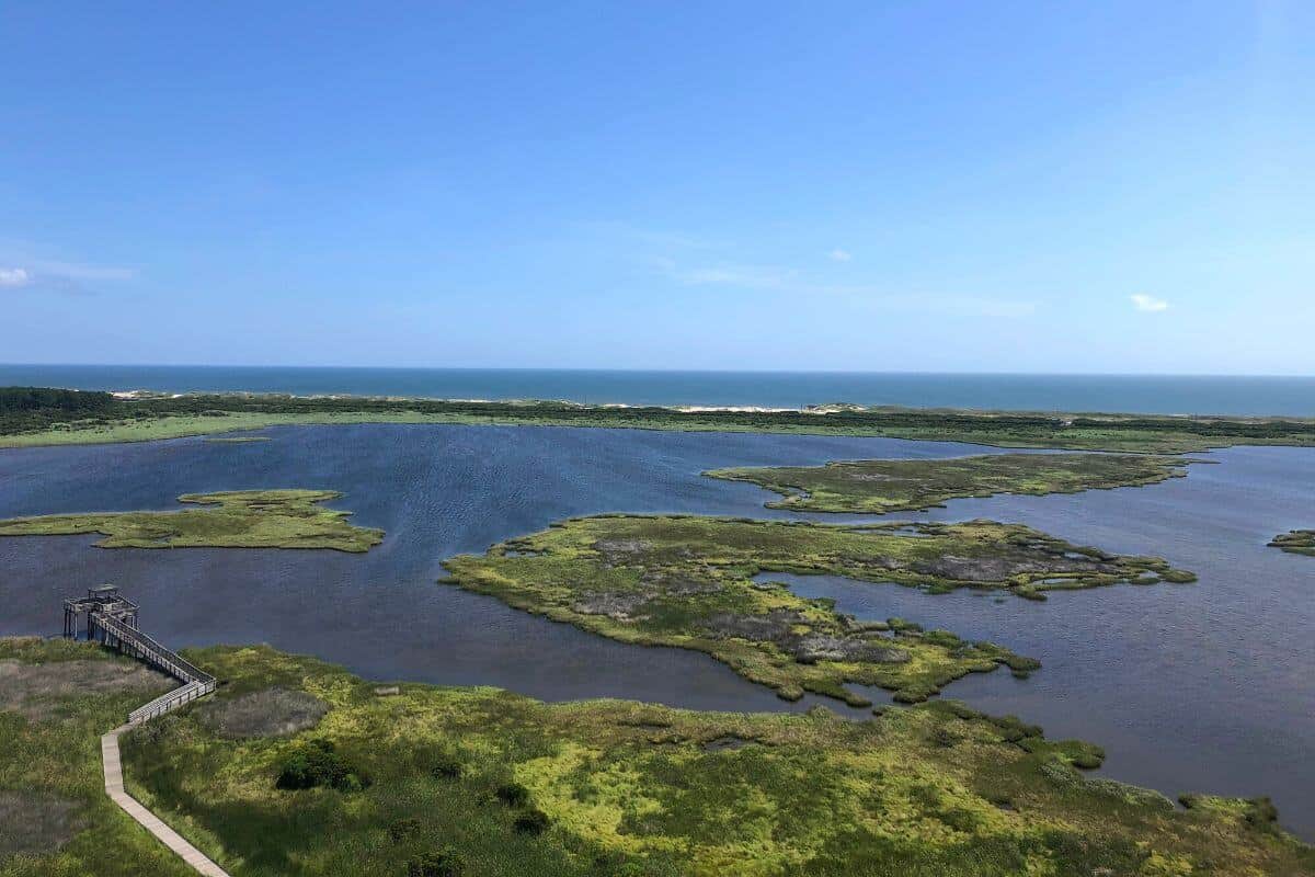 Marshlands from the top of the lighthouse.