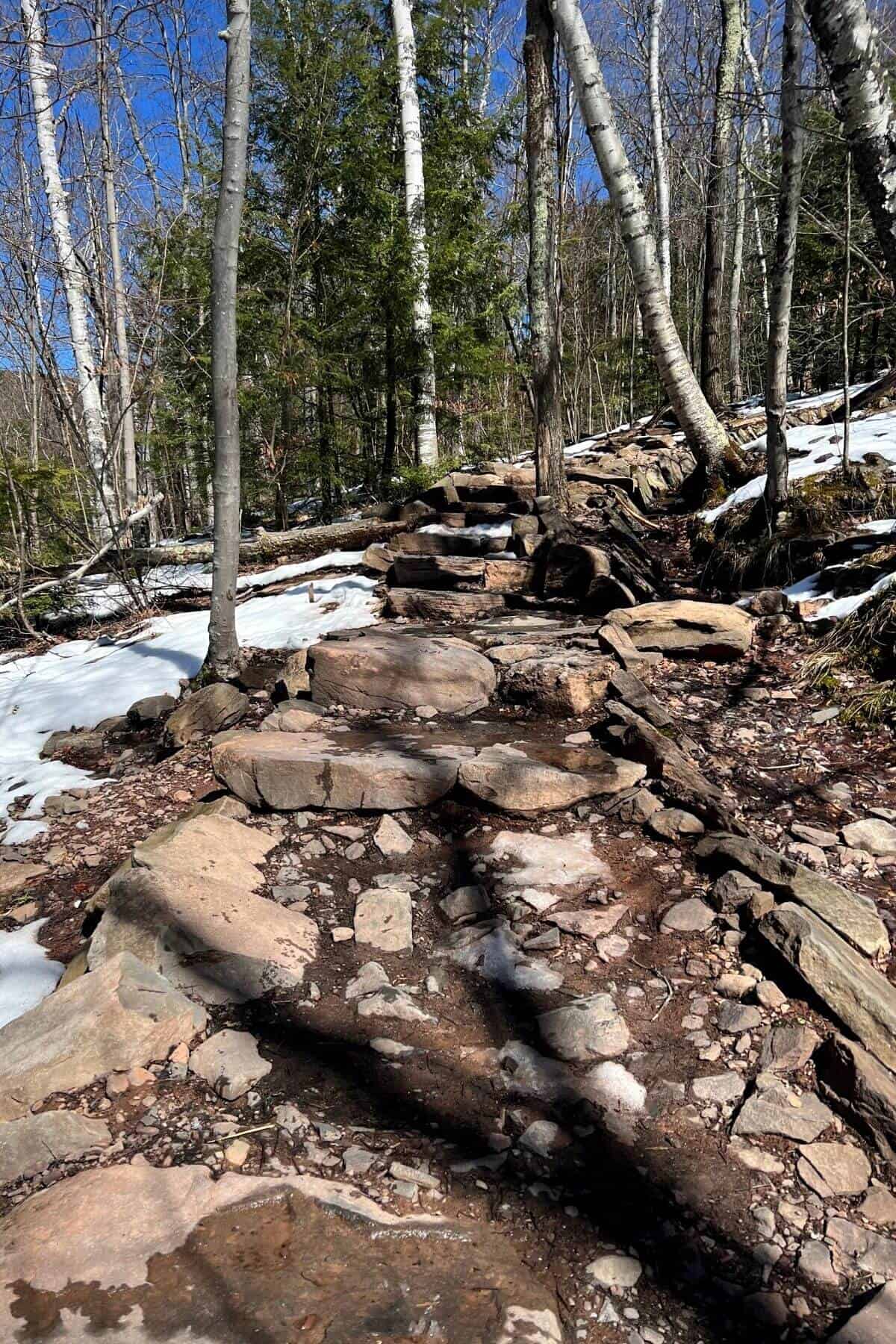 Stone steps on the trail to the lower falls.