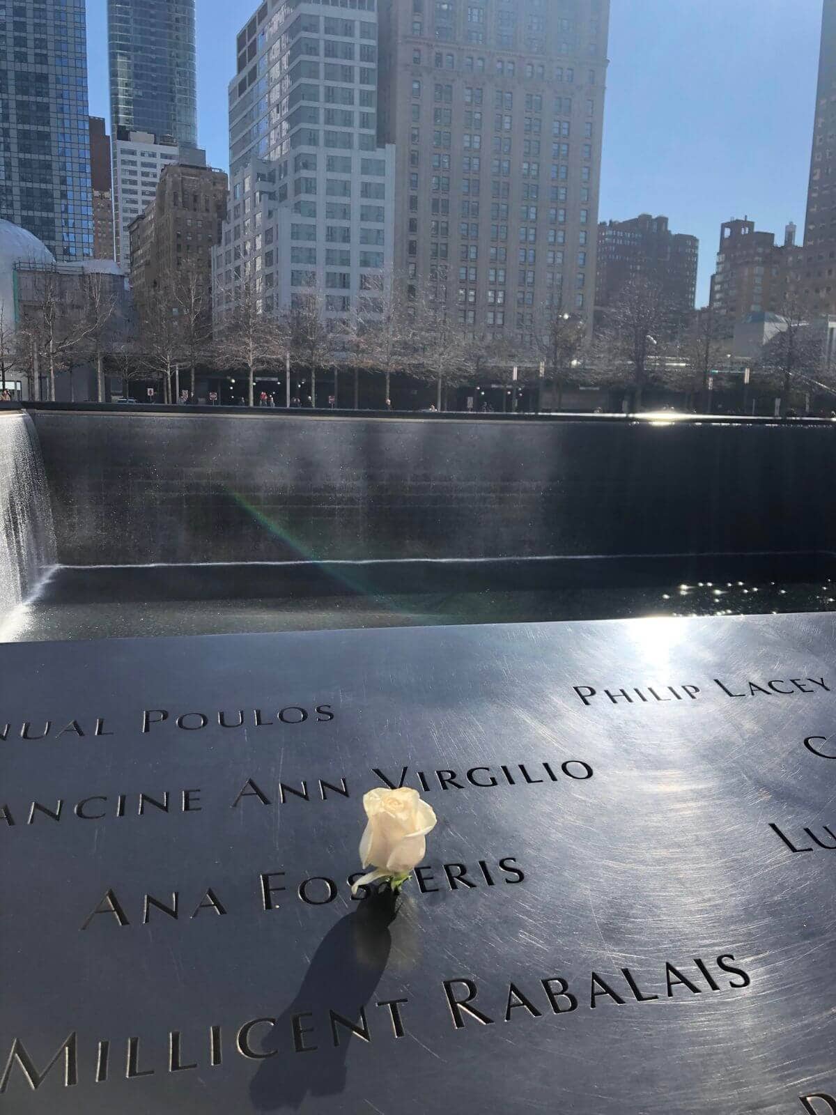 White rose on memorial 911 Reflection Pool.