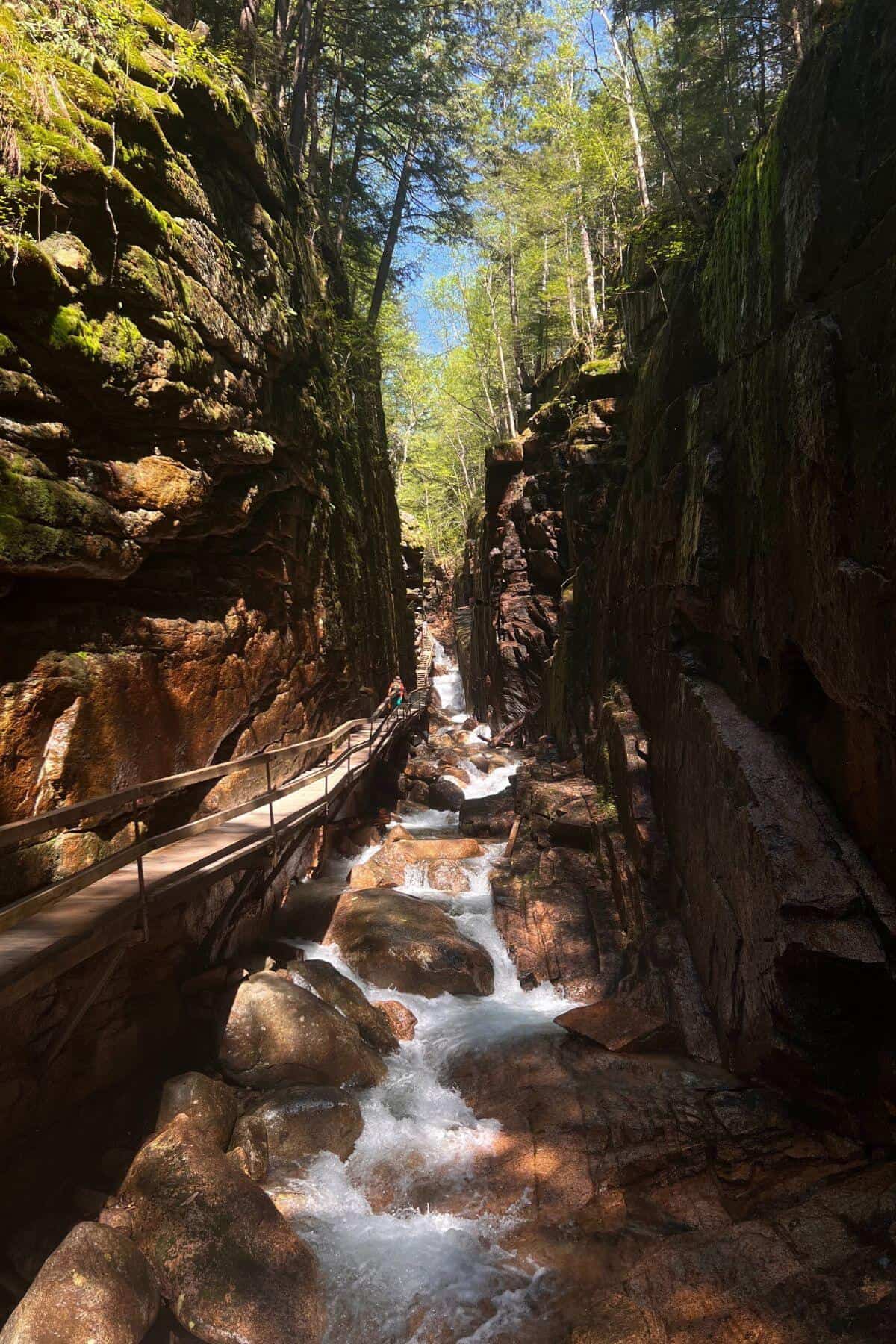 A stream runs through a canyon in a rocky area.