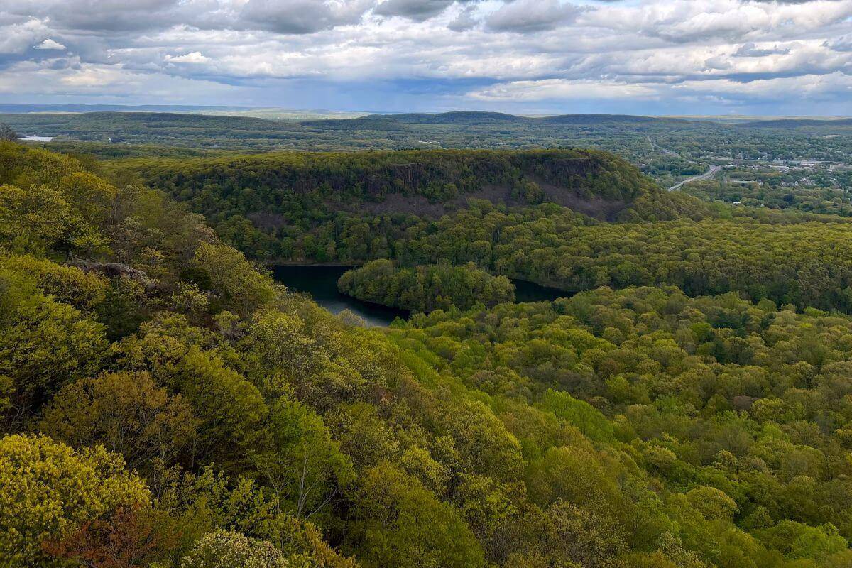 The view from the top of a cliff overlooking a forest.