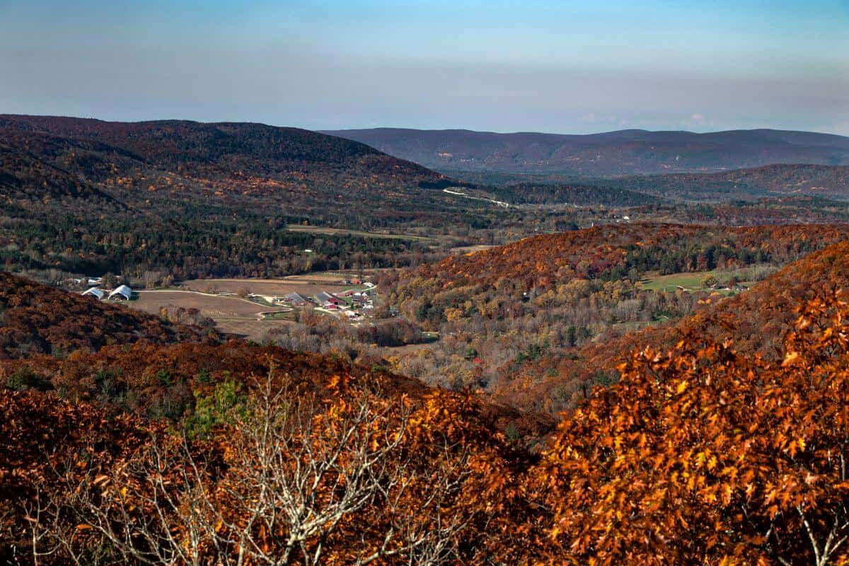 A view of the fall foliage from a mountaintop.