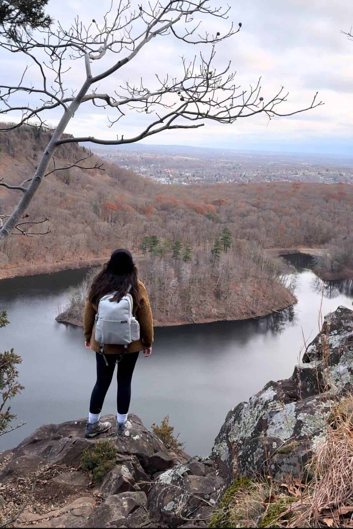 Person at an overlook of a reservoir. 