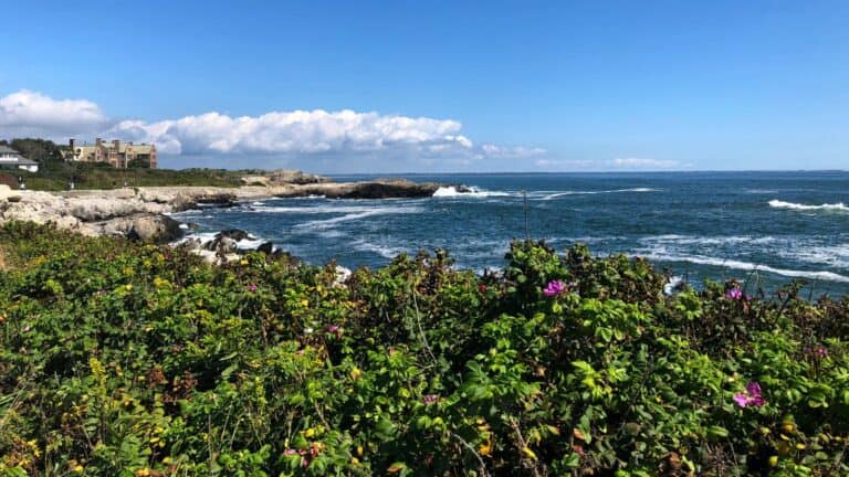 Ocean view with rocky shoreline, green vegetation, and a distant building. Waves gently crash against the rocks under a blue sky with scattered clouds.