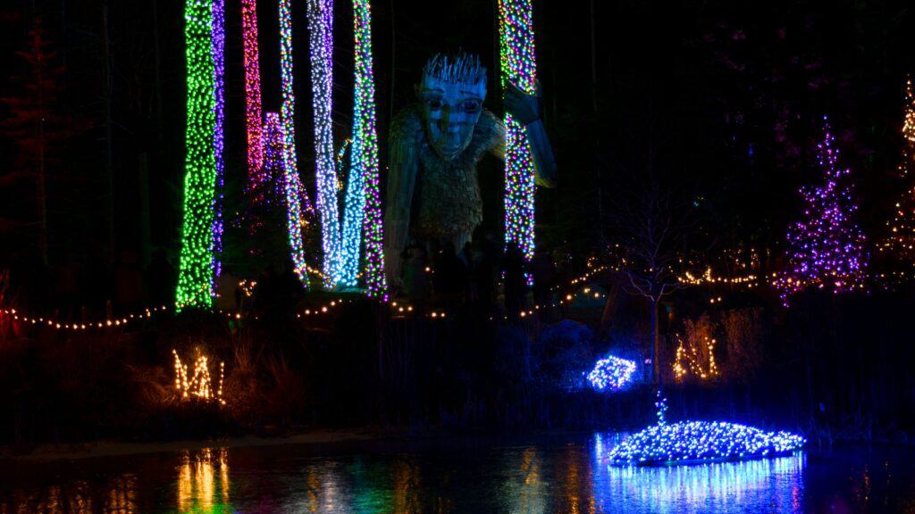 Illuminated trees and a large face sculpture adorned with colorful lights reflect on the water surface at night, capturing the magic of New England holidays.