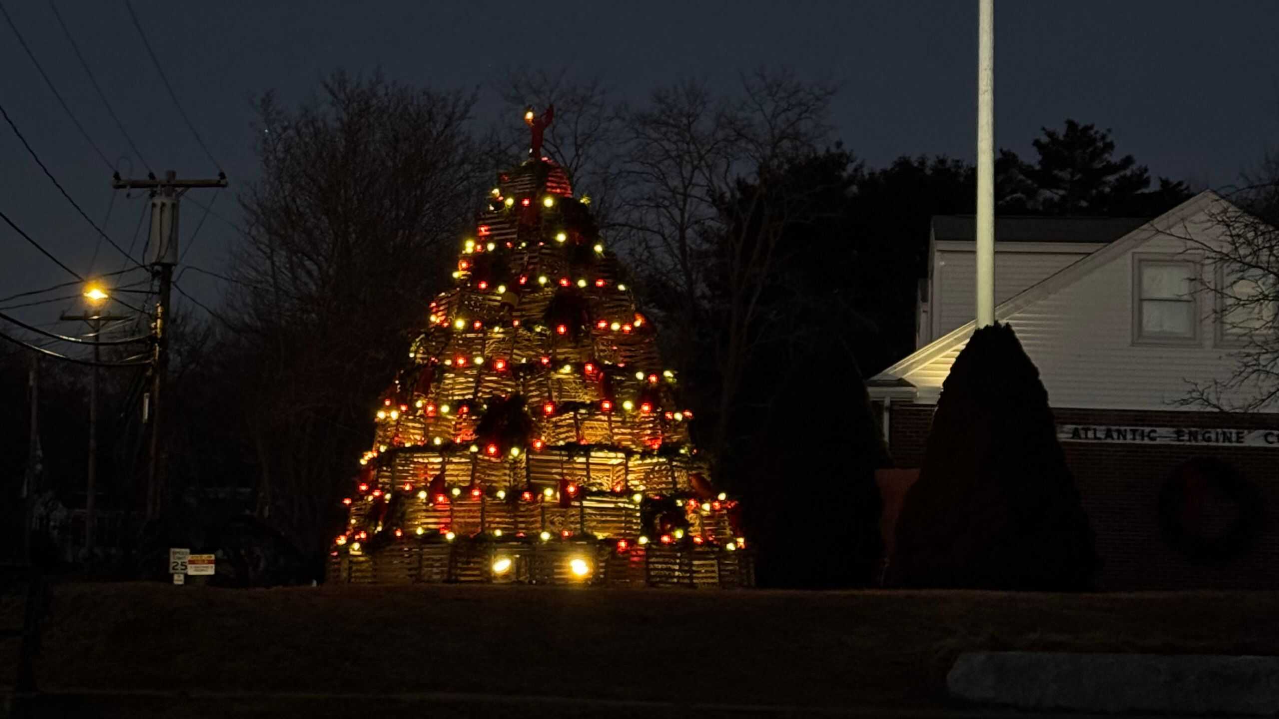 A beautifully illuminated Christmas tree decorated with colorful lights and ornaments, set outdoors at night, creating a joyful holiday atmosphere.