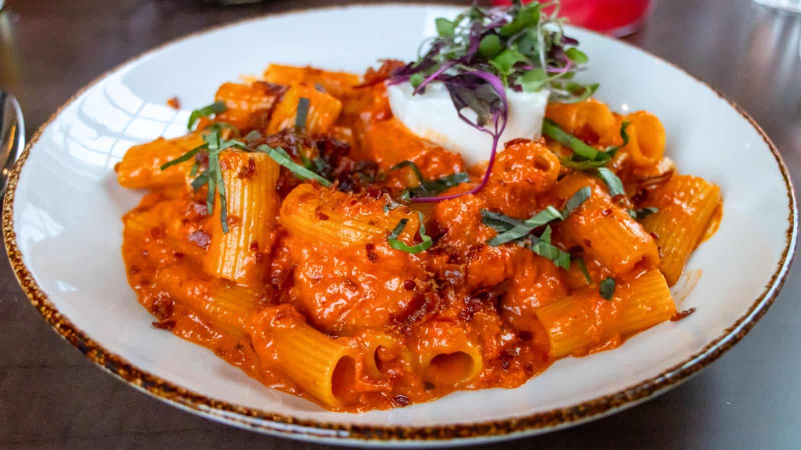 A plate of rigatoni pasta in a creamy tomato sauce, garnished with fresh basil, a dollop of cheese, and microgreens on top—perfect for savoring the flavors of Mystic CT.