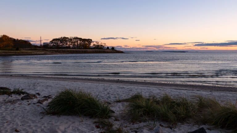 A serene beach at sunset with gentle waves, grassy dunes in the foreground, and trees on the horizon.