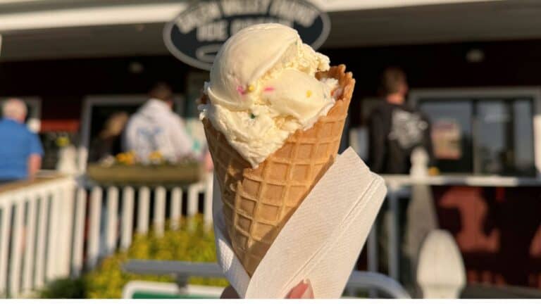 Close-up of a hand holding a waffle cone with vanilla ice cream and sprinkles in front of an ice cream shop, with people in line in the background.