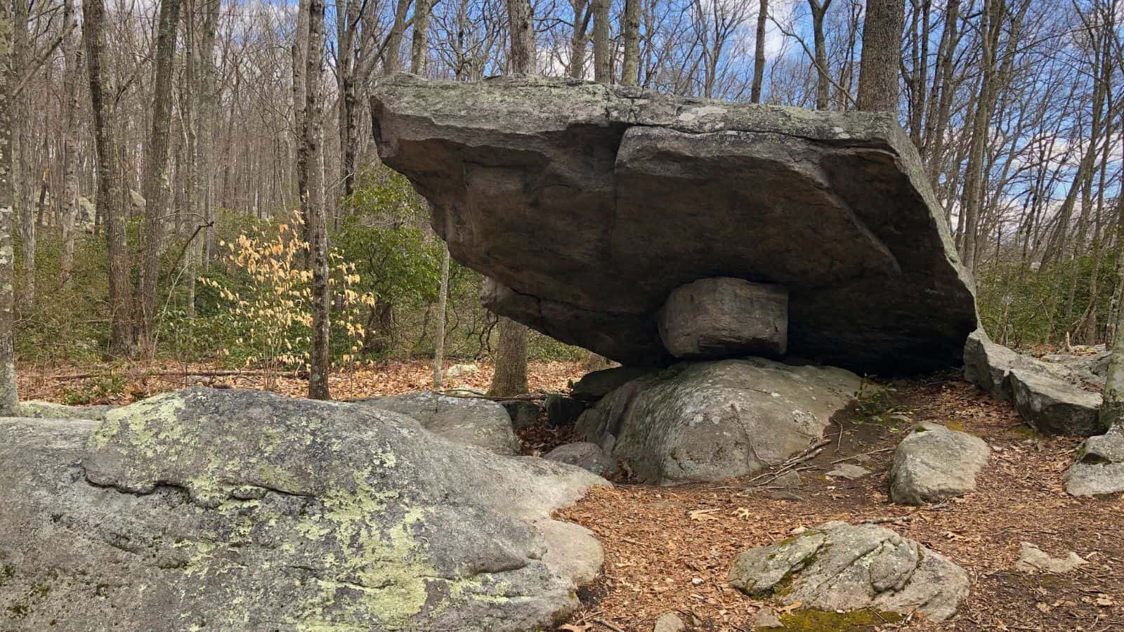 A large, flat rock is balanced at an angle on top of a smaller round rock in a forested area with leafless trees and scattered stones.