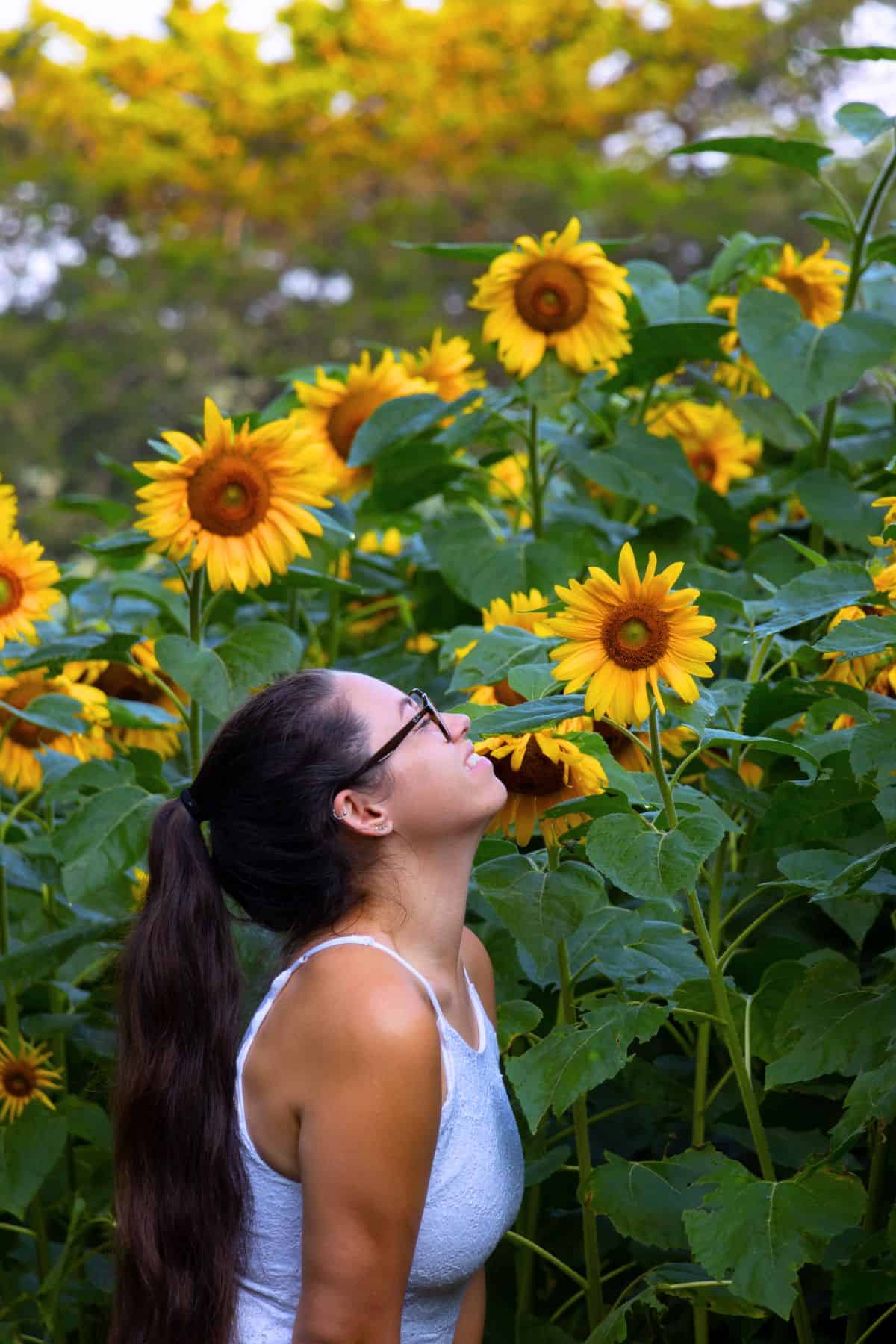 A woman with long dark hair and glasses stands among tall sunflowers, looking up closely at one of the blooms.
