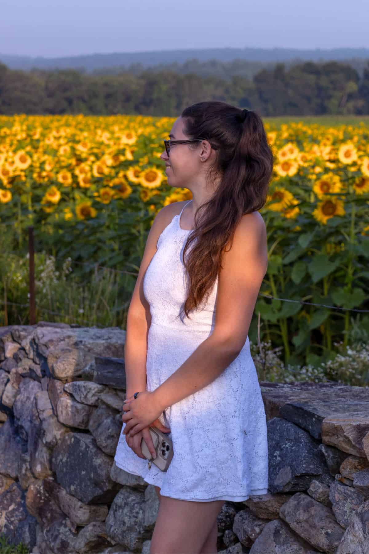 A woman in a white dress stands by a stone wall, holding a phone, looking at a large field of blooming sunflowers.