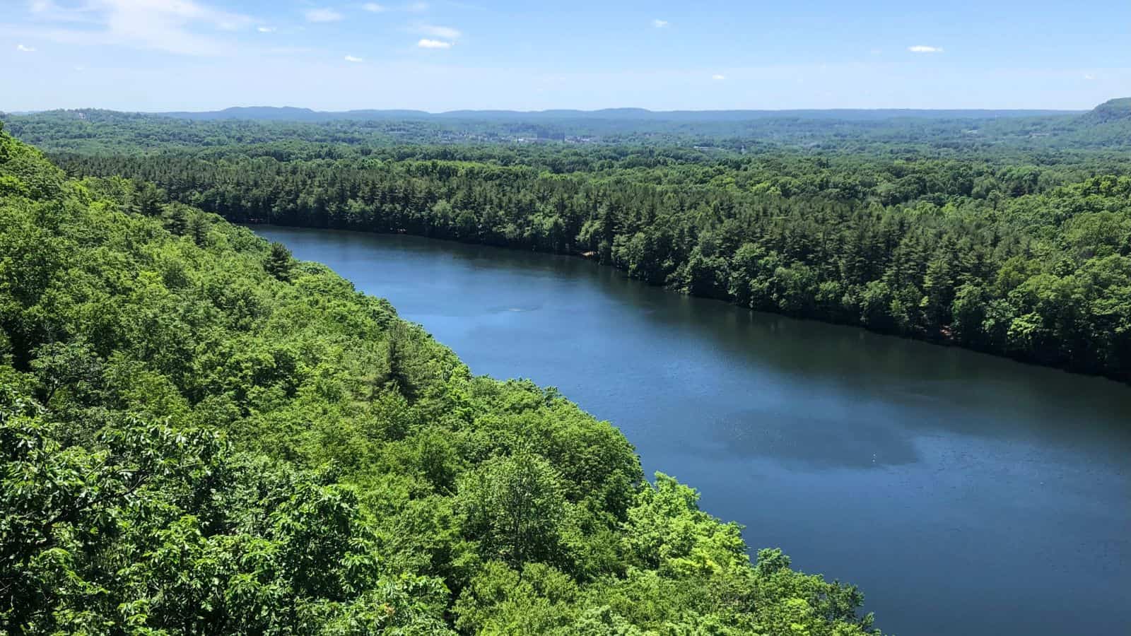 A river winds through a dense green forest under a clear blue sky, with distant hills visible on the horizon.