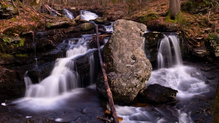 A large rock splits a small waterfall in a forest stream, with water flowing smoothly over dark rocks and fallen branches.