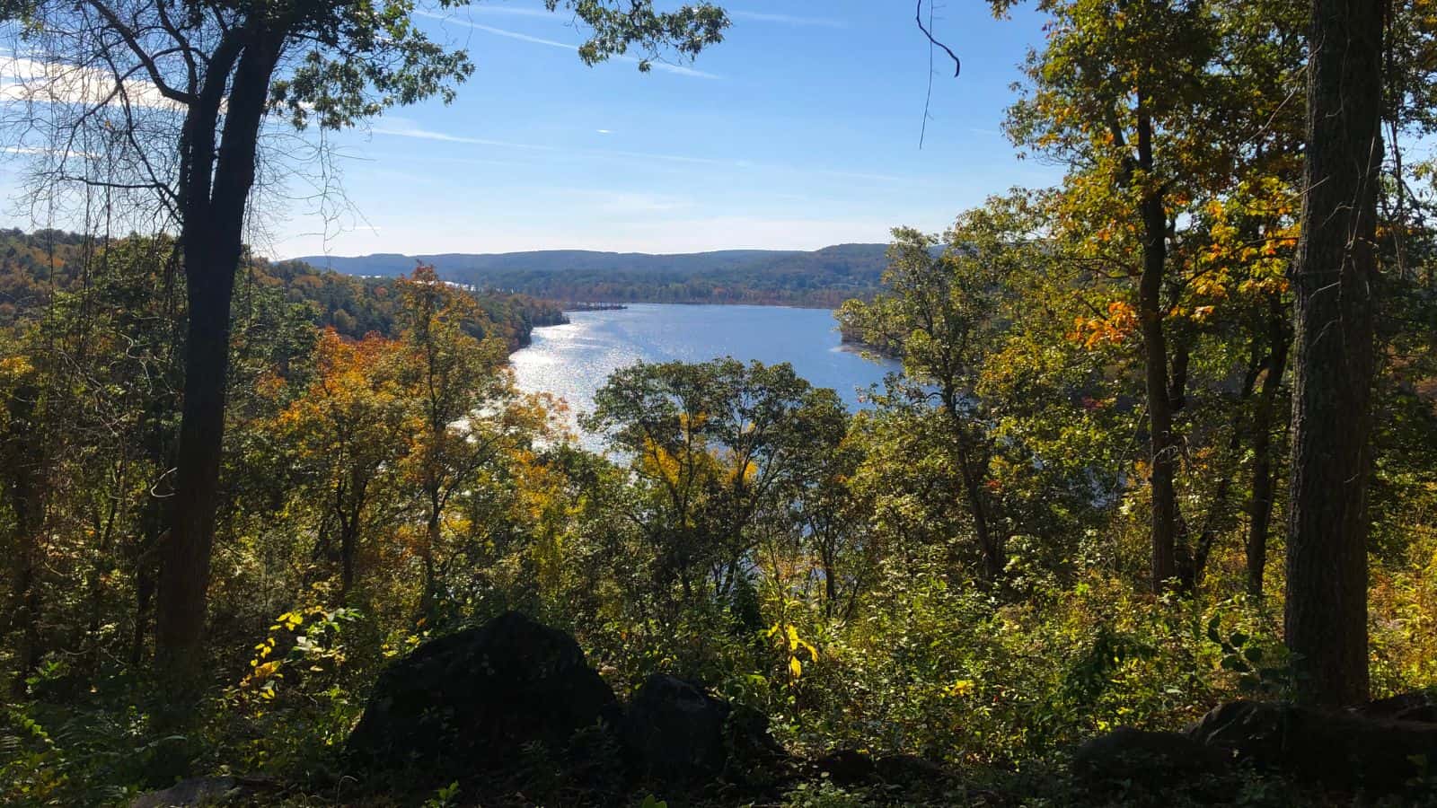 View of a lake surrounded by trees with autumn foliage, under a clear blue sky, seen from a wooded hillside.