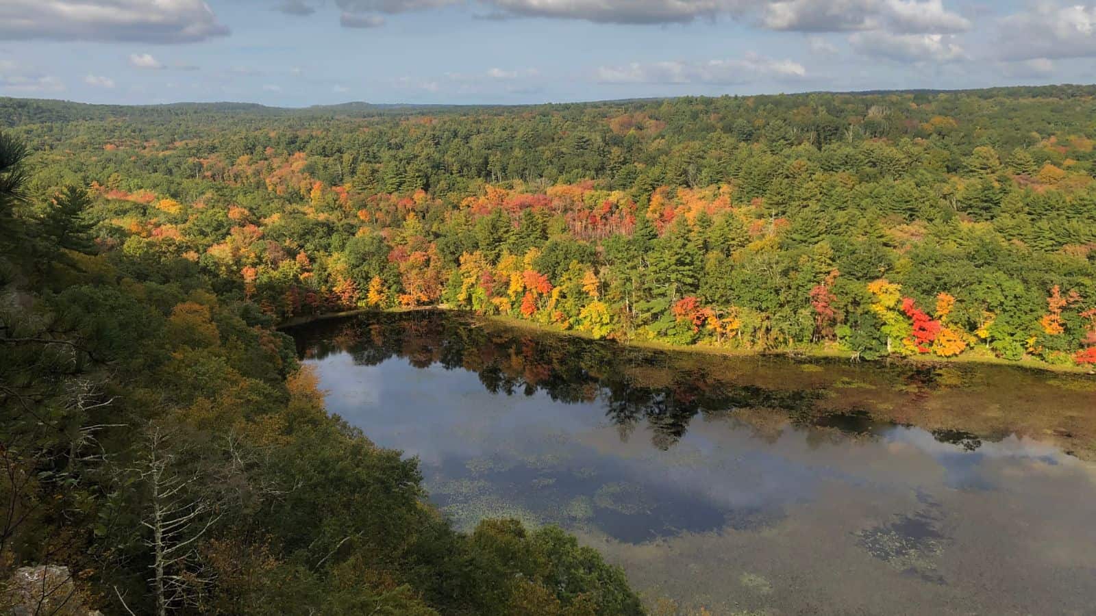 View of a forest with autumn foliage in shades of green, yellow, and red, surrounding a calm reflective lake under a partly cloudy sky.