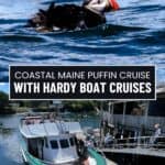 A puffin swims in the ocean as people board the Hardy III for a memorable puffin cruise with Hardy Boat Cruises along Maine's scenic coast.