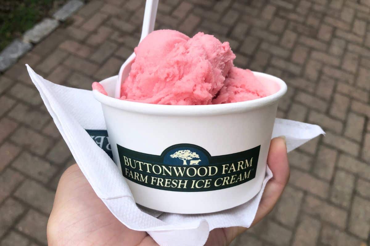 A hand holds a cup of pink ice cream with a spoon, labeled “Buttonwood Farm Farm Fresh Ice Cream,” over a napkin and brick walkway background.