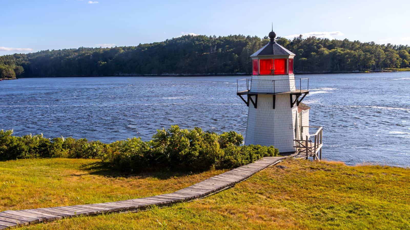 A small white lighthouse with a red light stands by the water’s edge, surrounded by greenery, with a path leading up to it and a forested shore in the background.