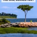 A solitary tree stands by the rocky shoreline of Milford, Connecticut, with calm water and distant greenery under a clear blue sky; text overlays promote this scenic coastal spot.