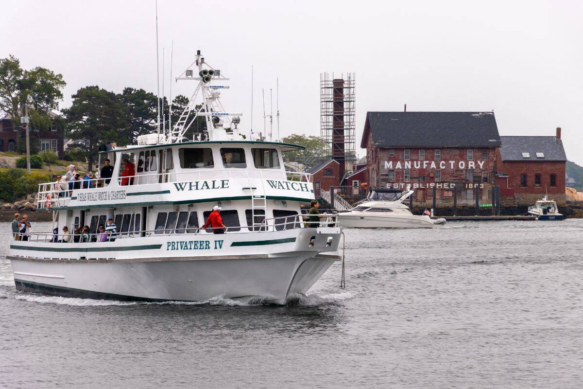 A whale watching boat named "Privateer IV" moves through the water, with people on board and a brick building labeled "Manufactory" in the background.