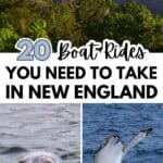 Discover stunning river views with a boat, a playful seal, and a whale tail—explore 20 unforgettable boat rides to in New England, as featured on DailyLifeTravels.com.