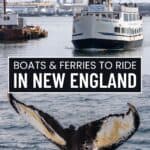 A ferry approaches a dock in New England, popular for boat rides to scenic spots, as a whale's tail fin emerges from the water in the foreground; harbor and city buildings are visible in the background.