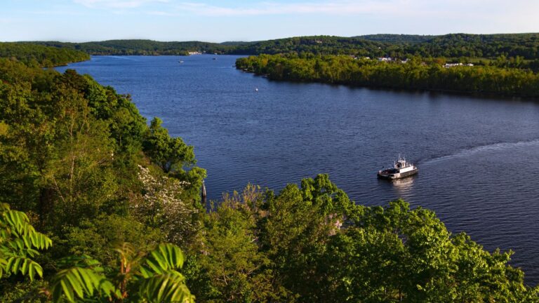 A small motorboat travels along a wide, tree-lined river under a clear sky, with dense green forest on both banks.