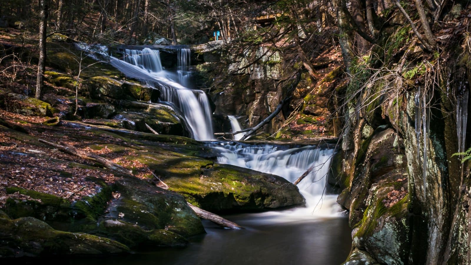 A forest waterfall cascades over mossy rocks surrounded by trees and fallen branches, with sunlight filtering through the canopy.