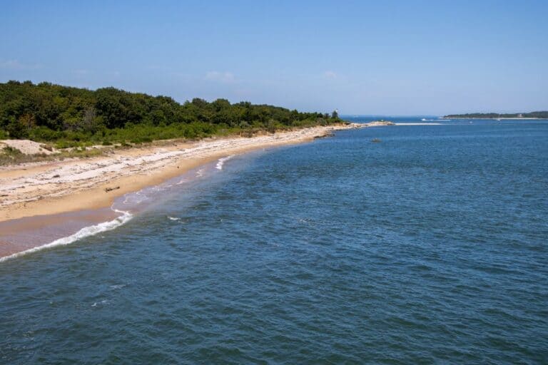 View of a sandy coastline bordered by green trees, with gentle waves meeting the shore under a clear blue sky.