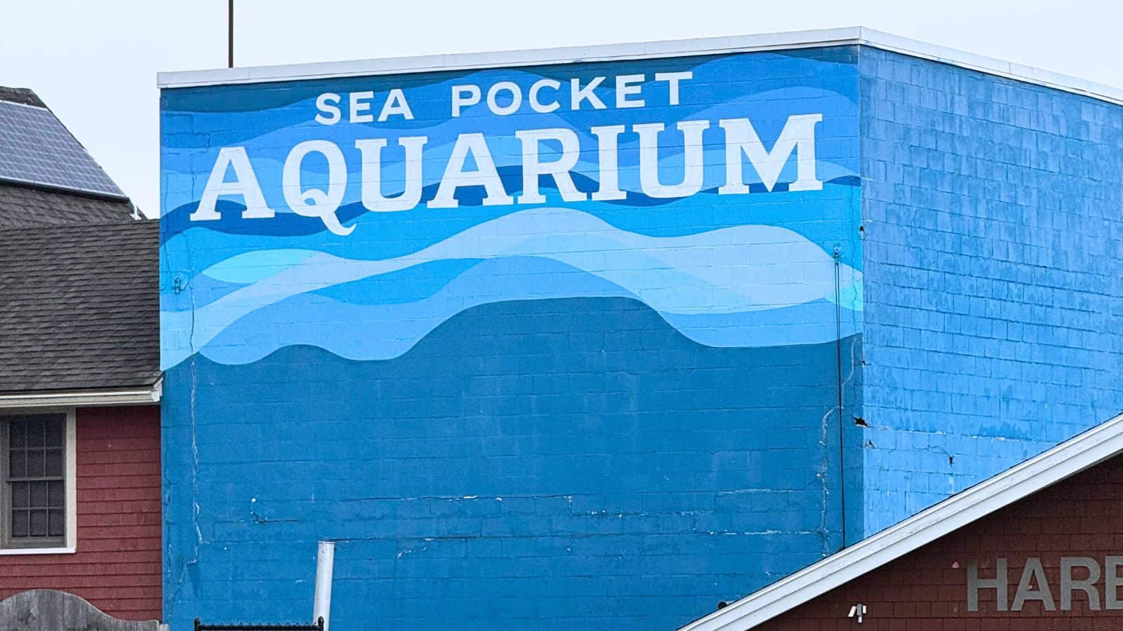 A large mural on a blue building reads "SEA POCKET AQUARIUM" with a wave design painted underneath the text.