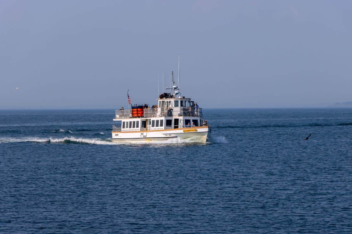 A white passenger ferry boat travels across a calm body of water under a clear blue sky.