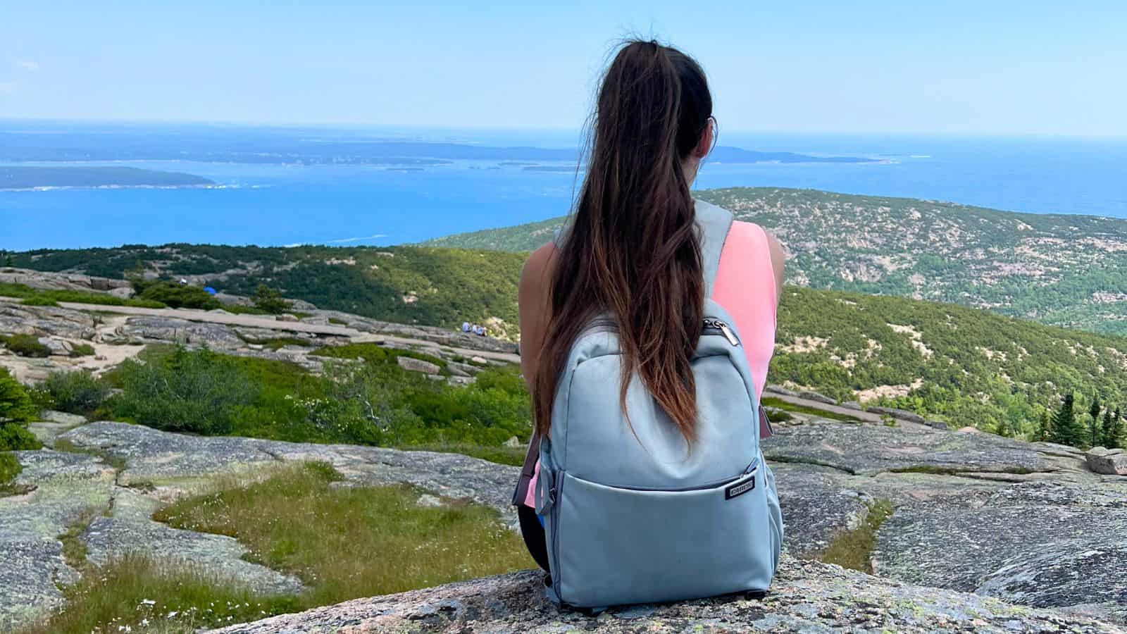 A person with long hair and a gray backpack sits on a rock, overlooking a landscape of green hills and distant blue water under a clear sky.