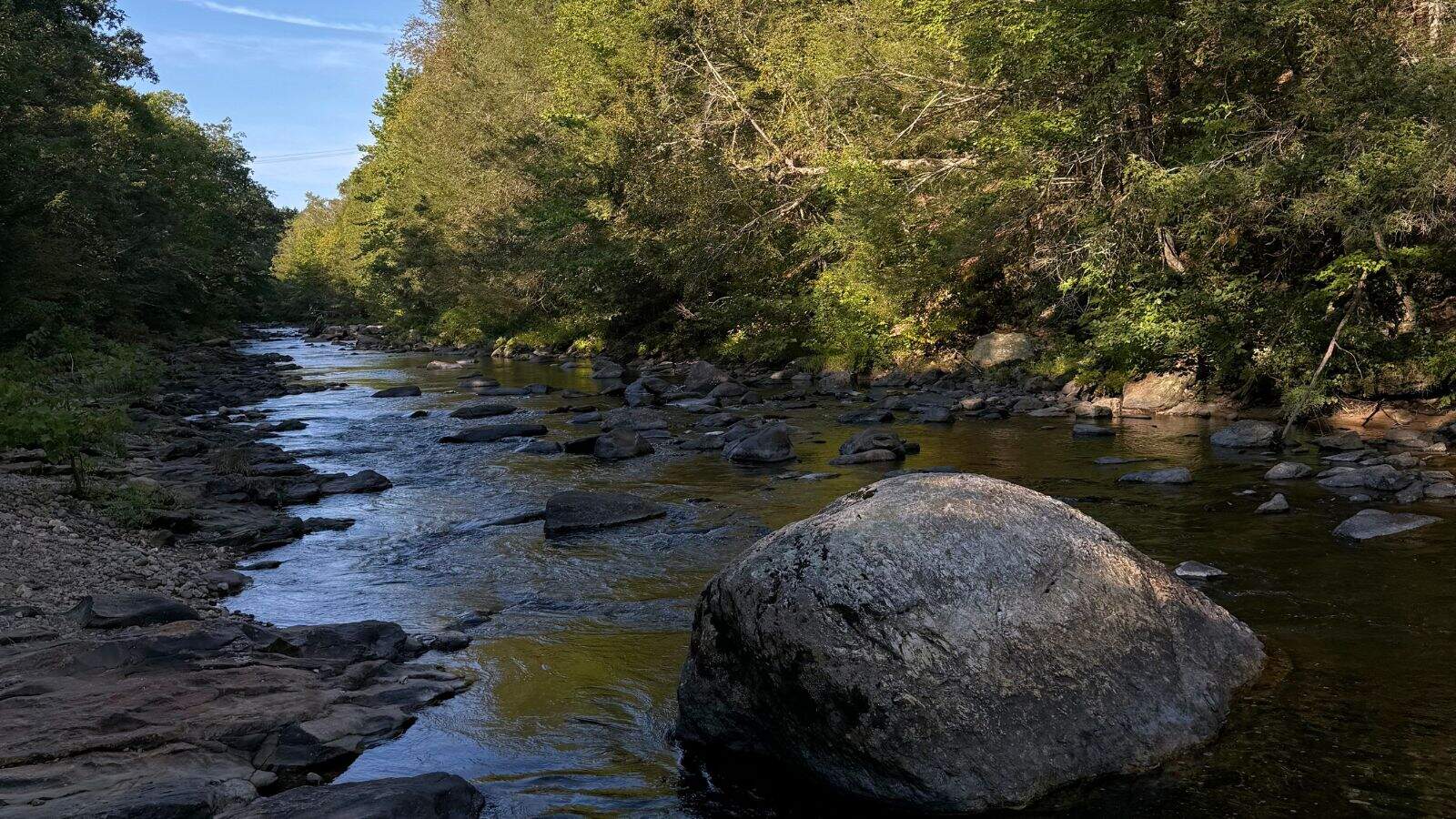 A shallow stream flows through a wooded area with rocks scattered in and along the water, sunlight filtering through the trees.