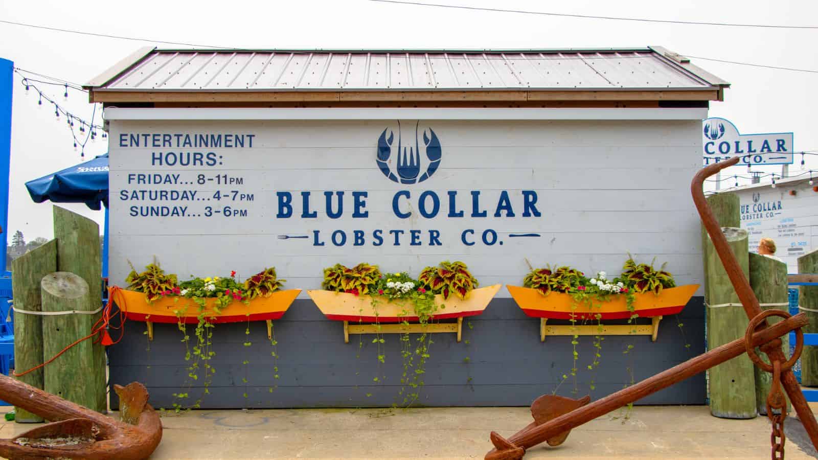 A gray building displays the Blue Collar Lobster Co. sign with entertainment hours and three yellow flower boxes below, surrounded by nautical decor.